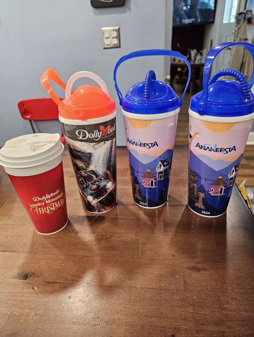 Smoky Mountain Theme Park Souvenir Cup Lot – Dollywood & Anakeesta 4 Total Euc